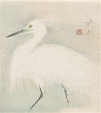 白鷺White heron